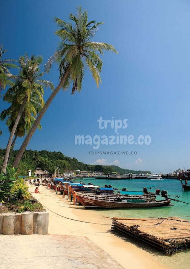 อ่าวต้นไทร ประตูสู่เกาะพีพีดอน ศูนย์กลางหมู่เกาะพีพี กระบี่