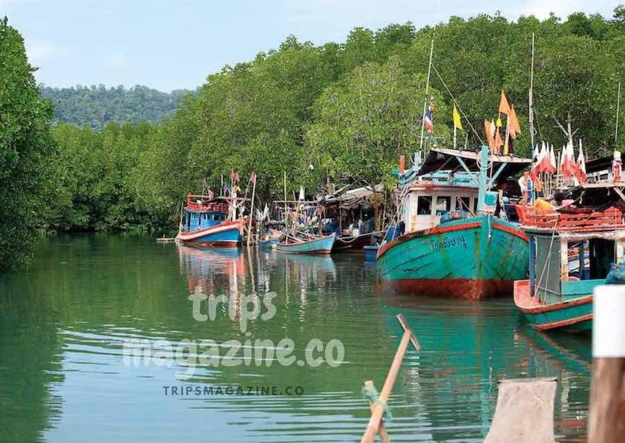 ป่าชายเลนเป็นแหล่งจอดเรือประมงปลอดคลื่นลม เกาะช้างฝั่งทิศใต้ ตราด