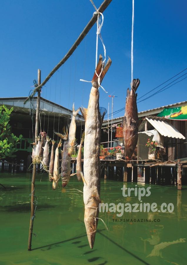 หมู่บ้านลอยน้ำบนเกาะพิทักษ์ บางน้ำจืด หลังสวน ชุมพร ชีวิตผูกพันกับท้องทะเล เรียบง่าย เงียบสงบ หลายแห่งปรับเป็นโฮมสเตย์รับนักท่องเที่ยวให้มาพักผ่อน เรียนรู้วิถีชีวิตชาวเกาะพิทักษ์ที่มีชื่อเสียง