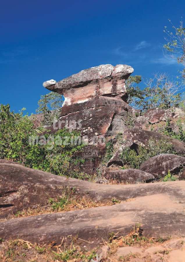 หินเต่า อยู่ในสวนหินรูปร่างแปลกตา ที่โดนธรรมชาติกัดเซาะมายาวนาน อุทยานแห่งชาติภูเรือ เลย