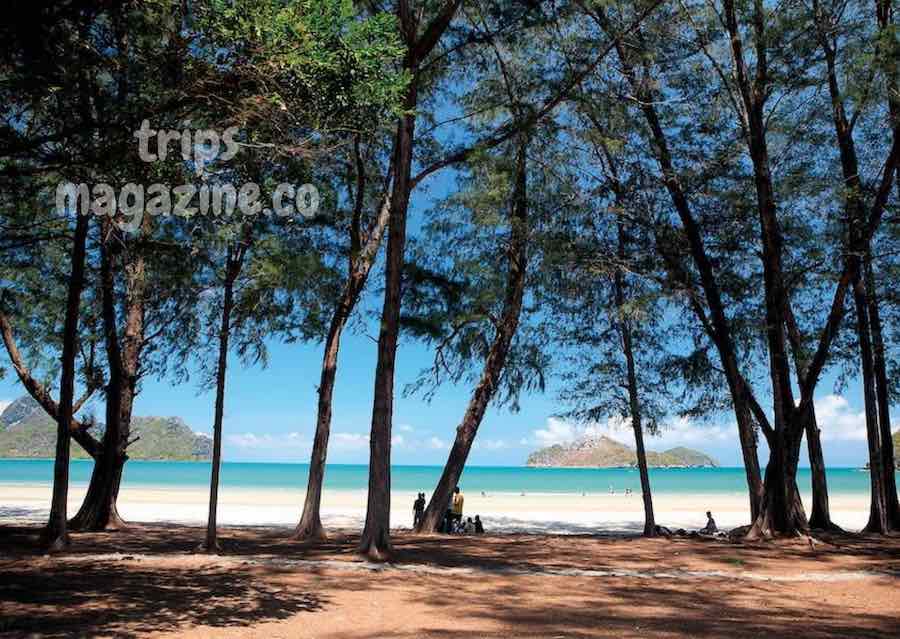 อ่าวมะนาว หาดสวย ยาว หลังหาดรื่นรื่นด้วยแนวทิวสน ประจวบคีรีขันธ์