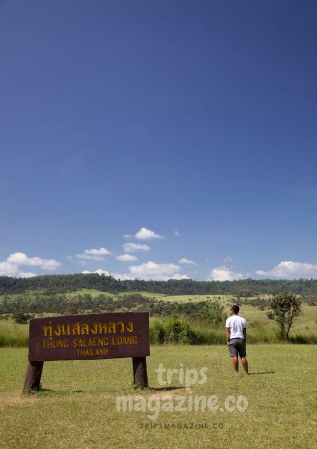 ทุ่งแสลงหลวง ทุ่งหญ้ากว้างใหญ่ ธรรมชาติสวย ที่มาของชื่ออุทยานแห่งชาติทุ่งแสลงหลวง