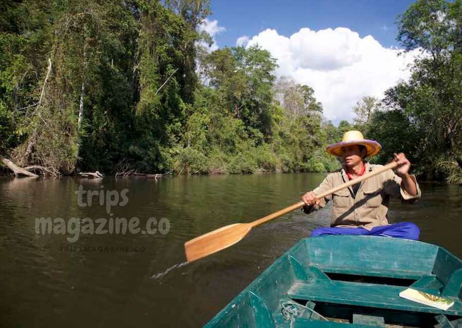 พายเรือชมแมงกะพรุนน้ำจืด แก่งวังน้ำเย็น ใกล้ทุ่งนางพญา อุทยานแห่งชาติทุ่งแสลงหลวง พิษณุโลก เพชรบูรณ์ 