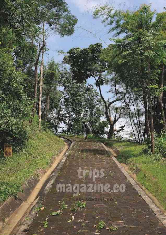 ทางเดินจากที่ทำการไปสะพานแขวนข้ามน้ำว้า ไปลานกางเต็นท์ อุทยานแห่งชาติแม่จริม น่าน