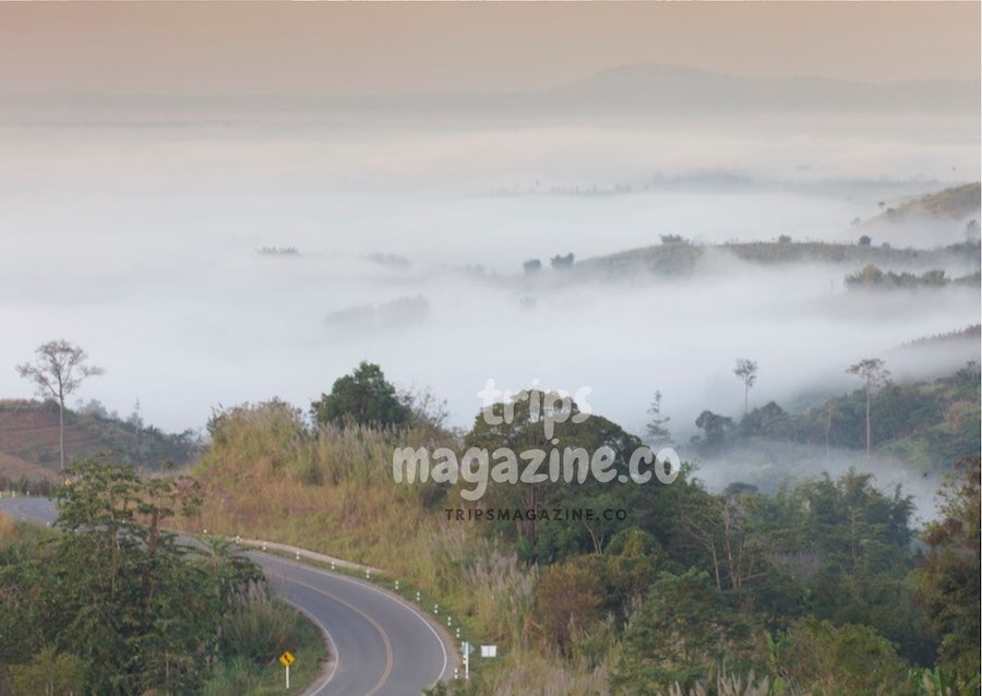 ทะเลหมอกผืนใหญ่สวยงามที่มองเห็นจากริมทางถนนสู่ เขาค้อ เพชรบูรณ์