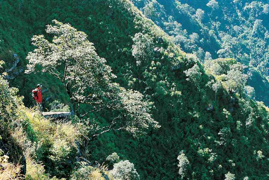 จุดชมวิวบนชะง่อนหิน มองเห็นป่าใหญ่และเทือกเขาสูงสมบูรณ์ ป่าต้นน้ำน่าน ระหว่างทางเดินขึ้นภูเมี่ยง อุทยานแห่งชาติต้นสักใหญ่ หรือชื่อเดิมคือ คลองตรอน น้ำปาด อุตรดิตถ์