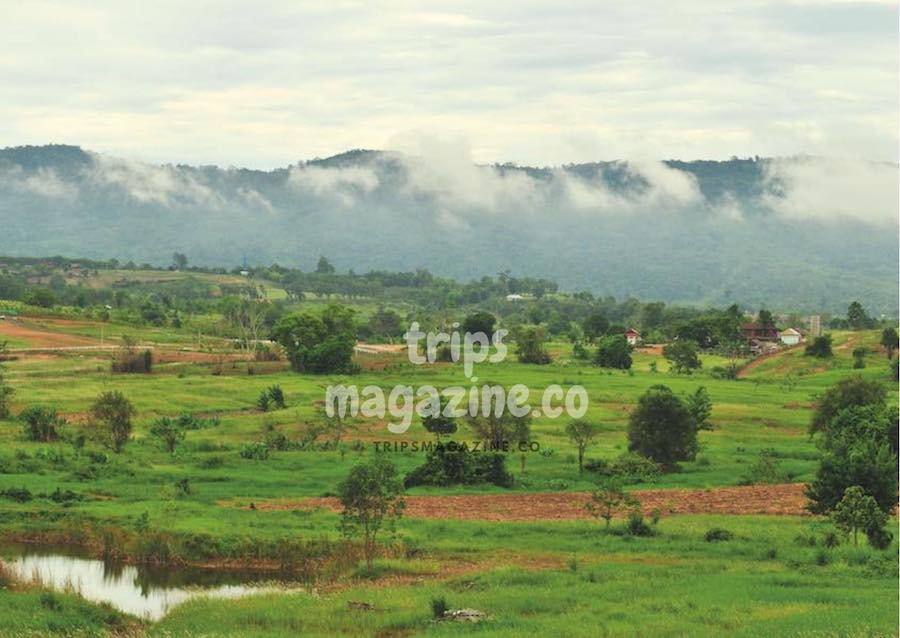 วิวทุ่งหญ้าป่าเขา และแนวเขตอุทยานแห่งชาติทับลาน แห่งดงพญาเย็น วังน้ำเขียว นครราชสีมา