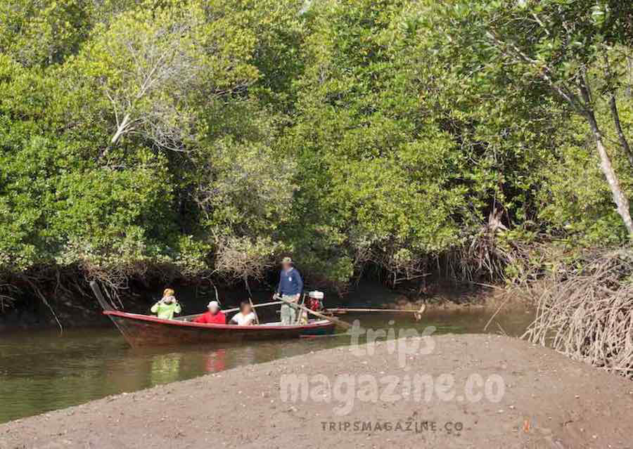 นั่งเรือดูบ่อน้ำร้อนกลางทะเล ตรัง